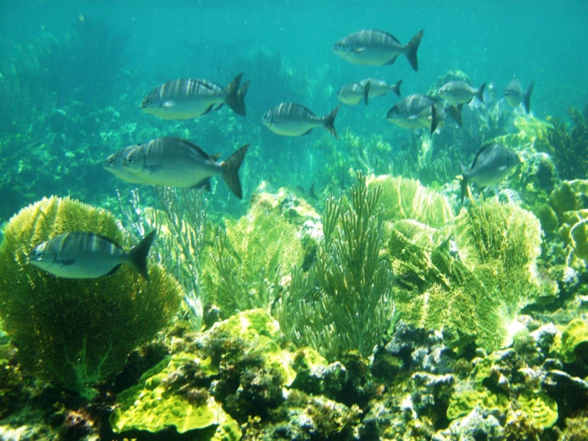 Tourmaline Home Governor's Harbour Εξωτερικό φωτογραφία